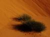 Merzouga