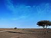Merzouga