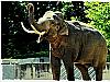 ZOO Praha