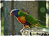 ZOO Praha