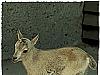 ZOO Praha