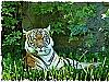 ZOO Praha