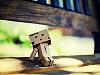 Danbo